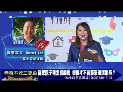 不會破壞地基的樹種|【不會破壞地基的樹種】自家院子種啥樹根不破壞地基？精選不會。